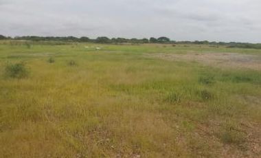 Venta 18.7 Has Vía Al Pan - Samborondon. diagonal al monumento Yunez, a 200 m del peaje