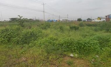 Venta 18.7 Has Vía Al Pan - Samborondon. diagonal al monumento Yunez, a 200 m del peaje