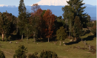 Preciosas parcelas en Parque Puyehue