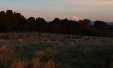 Preciosas parcelas en Parque Puyehue