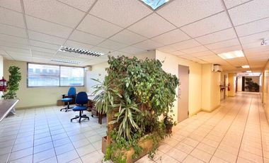 Se vende amplia oficina EX CONSERVADOR DE CURICÓ, Edificio Montt