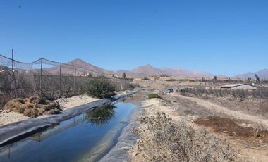 Campo agrícola / antigua producción de Paltos, uva, naranjas