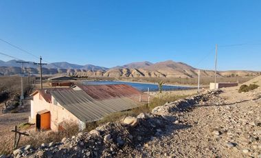 Campo agrícola / antigua producción de Paltos, uva, naranjas