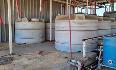 Campo agrícola / antigua producción de Paltos, uva, naranjas