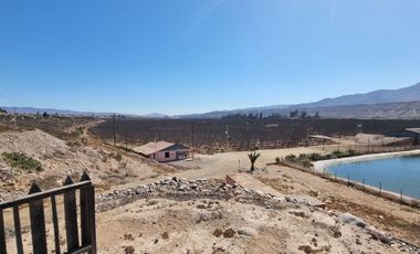 Campo agrícola / antigua producción de Paltos, uva, naranjas