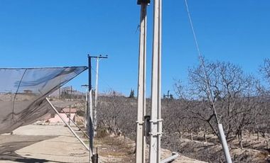 Campo agrícola / antigua producción de Paltos, uva, naranjas