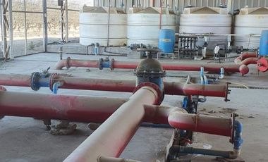 Campo agrícola / antigua producción de Paltos, uva, naranjas