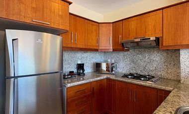 Departamento amoblado de alquiler en Rodriguez Witt