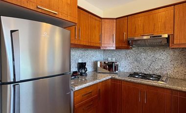 Departamento amoblado de alquiler en Rodriguez Witt