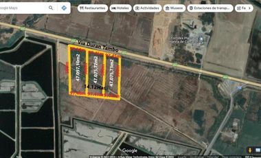 Venta 2 Lotes, Vía Duran - Tambo Km 19