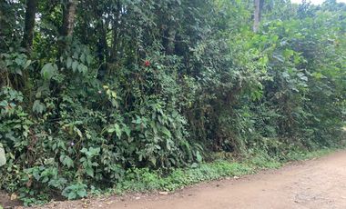 Venta terreno Mindo 2 HC  a pocos metros del parque de Mindo