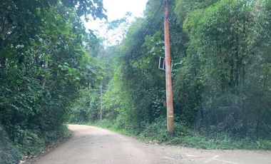Venta terreno Mindo 2 HC  a pocos metros del parque de Mindo