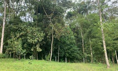 Venta terreno Mindo 2 HC  a pocos metros del parque de Mindo