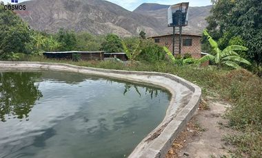 Terreno con casa de campo en Mascarilla sector Pambacienda, 16.000 m2