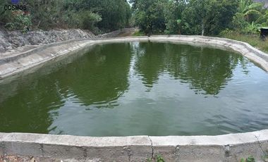 Terreno con casa de campo en Mascarilla sector Pambacienda, 16.000 m2