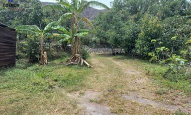 Terreno con casa de campo en Mascarilla sector Pambacienda, 16.000 m2