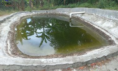 Terreno con casa de campo en Mascarilla sector Pambacienda, 16.000 m2