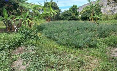 Terreno con casa de campo en Mascarilla sector Pambacienda, 16.000 m2