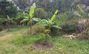 Terreno con casa de campo en Mascarilla sector Pambacienda, 16.000 m2