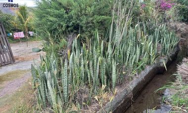 Terreno con casa de campo en Mascarilla sector Pambacienda, 16.000 m2