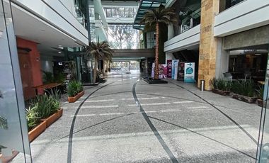 25-369 Renta de Local Green Plaza, Santa cruz, IH