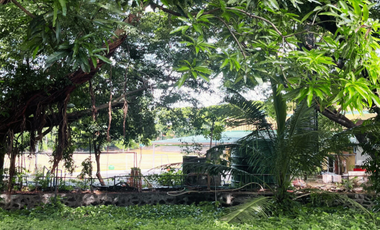 Ayala Alabang Village Residential Lot For Sale in Muntinlupa City