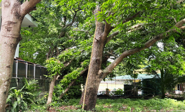 Lot for Sale in Ayala Alabang Village Muntinlupa Near Hillsborough, Alabang Hills