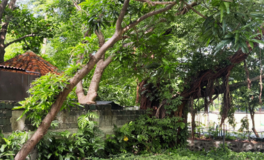 Lot for Sale in Ayala Alabang Village Muntinlupa Near Hillsborough, Alabang Hills