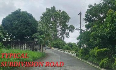5BR House and Lot for Sale in Woodland Hills Subdivision, Silangan San Mateo Rizal