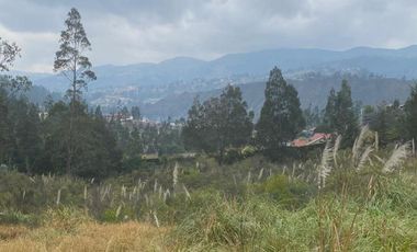 Oportunidad terreno en venta 17.500m2 sector Chuquipata (UNAE)