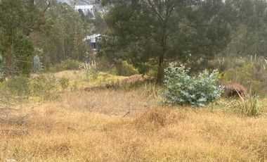 Oportunidad terreno en venta 17.500m2 sector Chuquipata (UNAE)