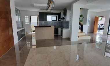 Brand New Modern House and Lot For Sale, BF Homes, Paranaque