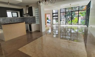 Brand New Modern House and Lot For Sale, BF Homes, Paranaque