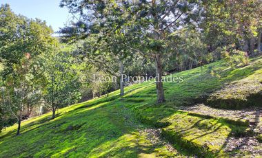 Leon Propiedades vende hermosa casa en Fundo Monterrey, Curacaví.