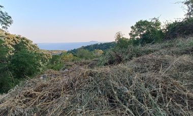 Terreno en Venta en Palmas II Playa La Ropa. Zihuatanejo, Gro. Vista parcial al mar