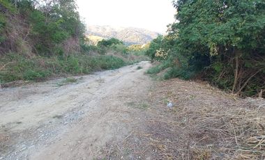 Terreno en Venta en Palmas II Playa La Ropa. Zihuatanejo, Gro. Vista parcial al mar