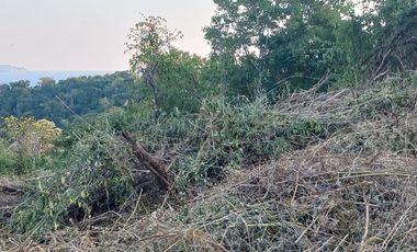 Terreno en Venta en Palmas II Playa La Ropa. Zihuatanejo, Gro. Vista parcial al mar