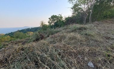 Terreno en Venta en Palmas II Playa La Ropa. Zihuatanejo, Gro. Vista parcial al mar