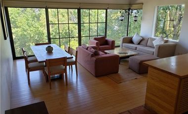 GRAN DEPARTAMENTO EN RENTA CON VISTA AL LAGO