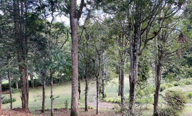 FINCA EN EL RETIRO ANTIOQUIA