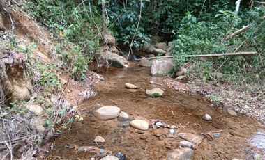 FINCA GANADERA EN SALONICA, RIO FRIO