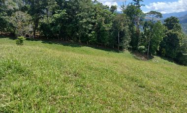 FINCA GANADERA EN SALONICA, RIO FRIO