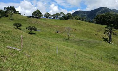 FINCA GANADERA EN SALONICA, RIO FRIO