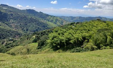FINCA GANADERA EN SALONICA, RIO FRIO