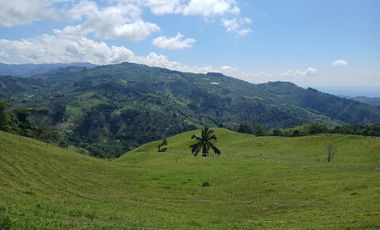 FINCA GANADERA EN SALONICA, RIO FRIO