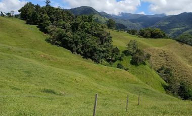 FINCA GANADERA EN SALONICA, RIO FRIO