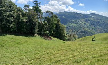 FINCA GANADERA EN SALONICA, RIO FRIO