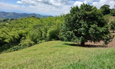 FINCA GANADERA EN SALONICA, RIO FRIO