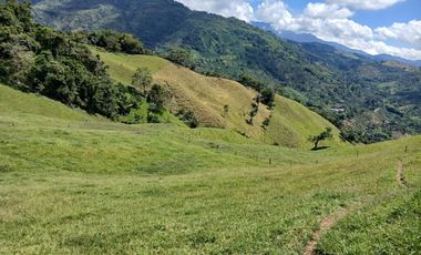 FINCA GANADERA EN SALONICA, RIO FRIO