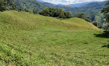 FINCA GANADERA EN SALONICA, RIO FRIO